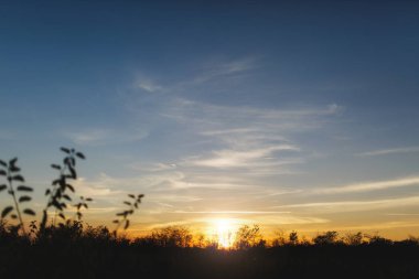 Akşam ağaçlar ve çalılar siluetleri ile alan çayırda güzel parlak sıcak turuncu günbatımı manzara. Harika resim kavramının doğal dünya ve çevre, sakin, gevşeme