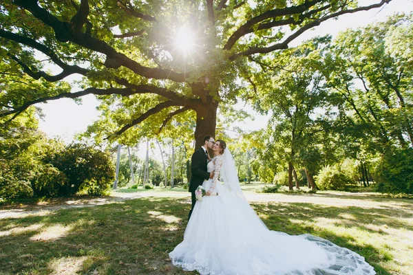 Hermosa sesión de fotos de boda. El novio en un traje negro besa a su novia en un vestido de encaje blanco con una larga pluma, velo y ramo cerca del árbol en un gran jardín verde en el día soleado y lluvioso — Foto de Stock