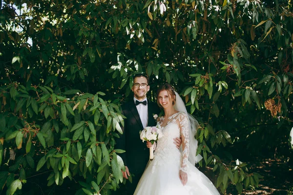 Photosession όμορφο γάμο. Γαμπρός στο μαύρο κοστούμι, λευκό πουκάμισο, παπιγιόν και γυαλιά και νύφη σε κομψή δαντέλα φόρεμα με πέπλο και μπουκέτο λουλούδια άσπρα και ροζ περιβάλλεται από τα κλαδιά του Μπους, πράσινο — Φωτογραφία Αρχείου