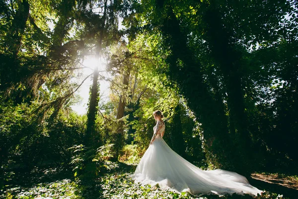 Beautiful wedding photosession. The young cute bride in a elegant white lace dress with a long plume and exquisite hairstyle in the middle of the trees in a large green garden on weathery sunny day — Stock Photo, Image