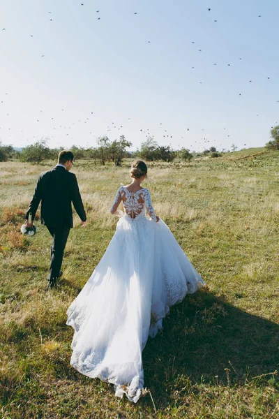 Photosession όμορφο γάμο. Όμορφος groom σε ένα μαύρο κοστούμι και η νεαρή νύφη σε λευκό φόρεμα δαντέλα με πανέμορφο hairstyle περίπατο γύρω από το μεγάλο πράσινο πεδίο κατά τον ουρανό και τα ιπτάμενα πτηνά — Φωτογραφία Αρχείου
