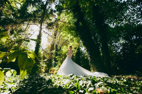 Bella foto di nozze. La giovane sposa carina in un elegante abito di pizzo bianco con un lungo pennacchio e un'acconciatura squisita in mezzo agli alberi in un ampio giardino verde nella giornata soleggiata e soleggiata — Foto Stock