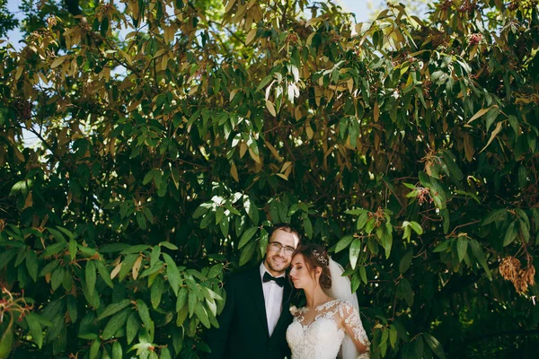 Bela sessão de casamento. Groom em terno preto, camisa branca, gravata borboleta e óculos e noiva em elegante vestido de renda com véu e decoração em seu cabelo em meio aos ramos de arbusto verde — Fotografia de Stock