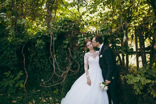 Bela sessão de casamento. O belo noivo em um terno preto, camisa branca e óculos com buquê de flores beija sua jovem noiva bonito em vestido de renda branca em grande jardim verde no dia ensolarado — Fotografia de Stock