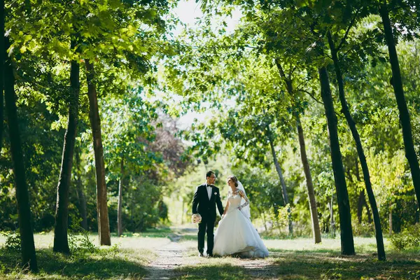 Güzel düğün photosession. Siyah bir takım elbise buket ve beyaz dantel elbise uzun tüy ve peçe gülümseme ve güneşli büyük yeşil bahçesinde yol boyunca yürüyüş ile onun gelin ile damat — Stok fotoğraf