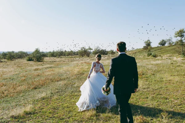美しい結婚式の photosession。黒のスーツと絶妙な髪型空と飛ぶ鳥に対して大きな緑のフィールドを歩くと白いレースのドレスの若い花嫁でハンサムな新郎 — ストック写真