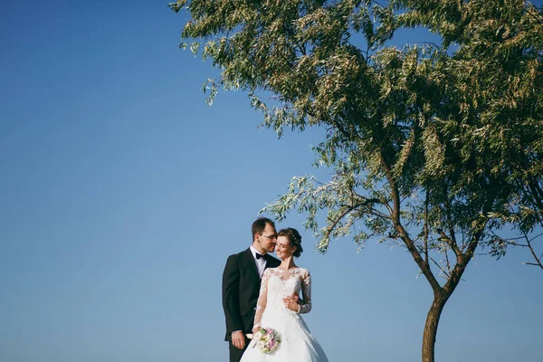 Gyönyörű esküvői photosession. A fekete öltöny, fehér csipke ruha gyönyörű frizura ellen az ég és a magas fa sétát a fiatal menyasszony vőlegény jóképű — Stock Fotó