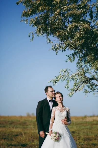 Photosession όμορφο γάμο. Όμορφος groom σε ένα μαύρο κοστούμι και η νεαρή νύφη σε λευκό φόρεμα δαντέλα με πανέμορφο hairstyle για βόλτα γύρω από το μεγάλο πράσινο πεδίο ενάντια του ουρανού και το ψηλό δέντρο — Φωτογραφία Αρχείου