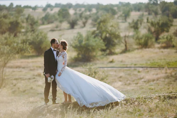 Beautiful wedding photosession. Handsome groom in a black suit and young bride in white lace dress with exquisite hairstyle on walk around the big green field against the trees and bushes background — Stock Photo, Image