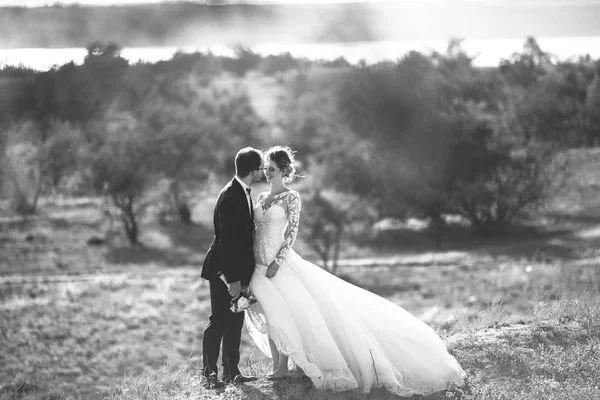 Vackert bröllop fotosession. Stilig brudgummen i en svart kostym och unga bruden i spetsklänning med utsökta frisyr på promenad runt stora fältet mot träd och buskar bakgrund. Svart och vitt — Stockfoto