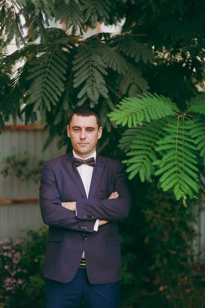 Preparación matutina de los recién casados para la ceremonia de la boda. El elegante novio sonriente en traje formal azul, camisa blanca y corbata de lazo de pie en el fondo de la cerca y las ramas de árboles verdes —  Fotos de Stock