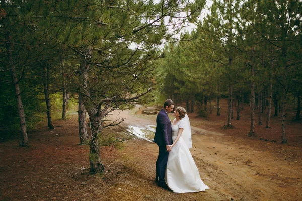 Прекрасная свадебная фотосессия. Красивый жених в синем костюме и галстуке-бабочке с бутоньеркой и его элегантной невестой в белом платье и вуали с красивой прической на прогулке в хвойном лесу — стоковое фото