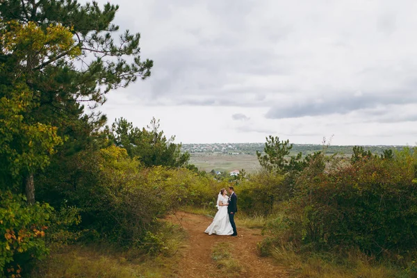 Bela sessão de casamento. Bonito noivo em azul terno formal e gravata borboleta com boutonniere e sua noiva elegante em vestido branco e véu com um belo hairdress em um passeio no campo com arbustos — Fotografia de Stock