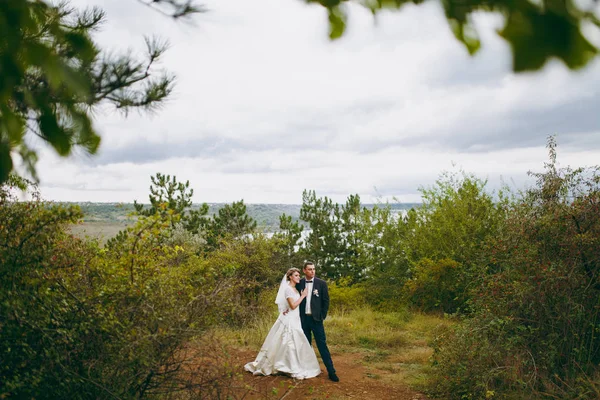 Bela sessão de casamento. Bonito noivo em azul terno formal e gravata borboleta com boutonniere e sua noiva elegante em vestido branco e véu com um belo hairdress em um passeio no campo perto do rio — Fotografia de Stock