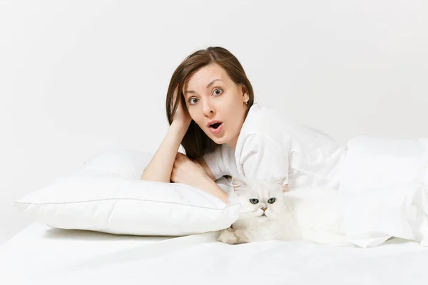 Lugn ung kvinna ligger i sängen med vita söta Persiska silver chinchilla katt, ark, kudde, filt på vit bakgrund. Skönhet kvinna umgås i rummet. Vila, koppla av, gott humör koncept. Kopiera utrymme — Stockfoto