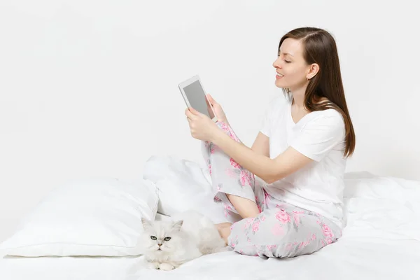 Ung kvinna sitter i sängen med vita söta Persiska silver chinchilla katt isolerad på vit bakgrund. Skönhet kvinna med tablet pc-dator umgås i rummet. Vila, koppla av, gott humör koncept. — Stockfoto