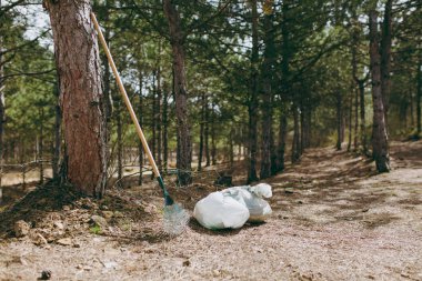 Aletleri komisyon çöp toplama, çalılar arasında çöp torbaları