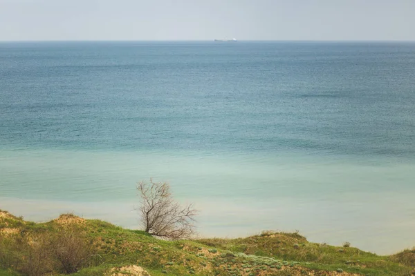 Coastline Green grasses field with trees and bushes near water river or sea. Beautiful landscape. Environment, nature concept. Copy space for advertisement. With place for text. Advertising area