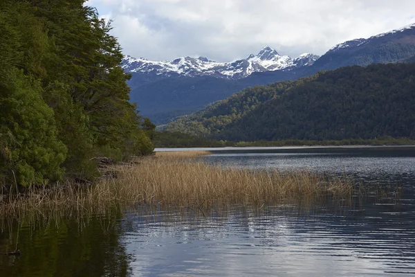 Lakes of the Carretera Austral — Stock Photo, Image