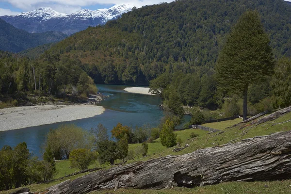 Řeky z Patagonie — Stock fotografie