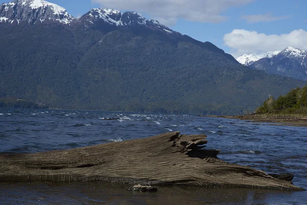 Lago Yelcho in Patagonia — Stock Photo, Image