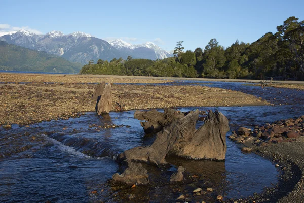 Lago Yelcho in Patagonia — Stock Photo, Image