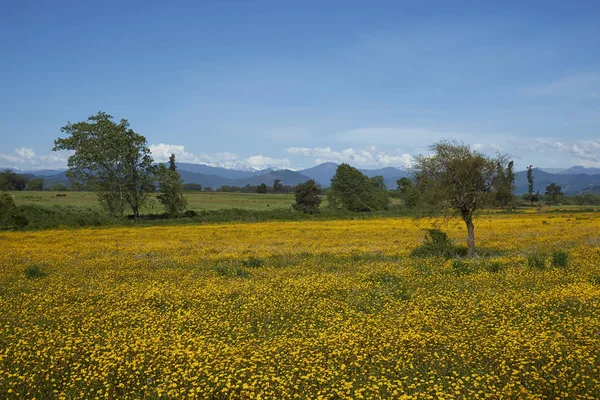 Plano Escénico Hermosas Montañas Chile — Foto de Stock