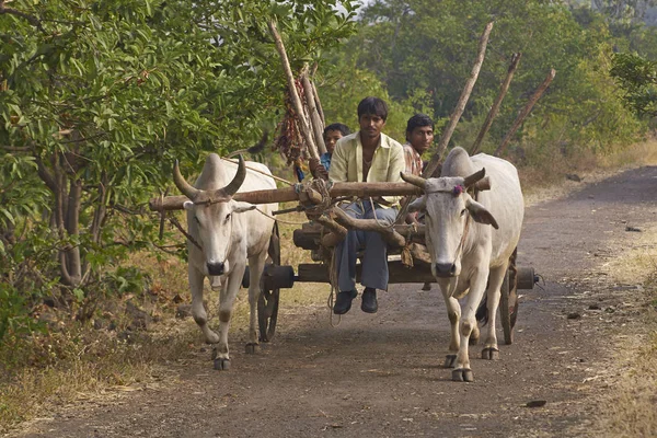 Kırsal Alanda Sığır Arabasıyla Gezen Bir Grup Insan — Stok fotoğraf