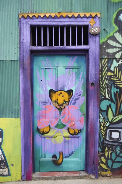 Portas coloridas de Valparaíso — Fotografia de Stock