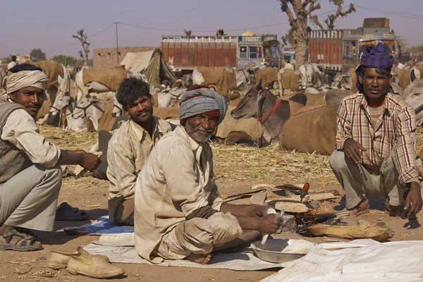 Nagaur Fiera del bestiame — Foto Stock