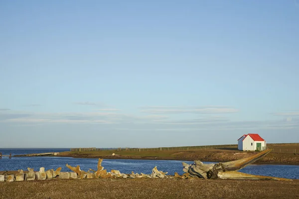 Foto Cênica Bela Costa Ilhas Malvinas — Fotografia de Stock