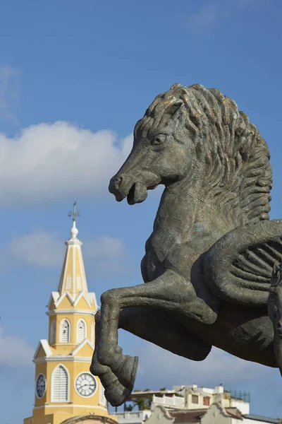 Caballos en Córdoba, Colombia —  Fotos de Stock