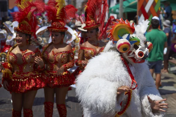 Arica Chile February 2017 Vystoupení Pouliční Přehlídce Každoročním Carnaval Andino — Stock fotografie