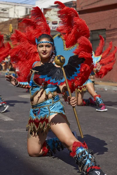 Tobas tänzerin beim arica karneval — Stockfoto