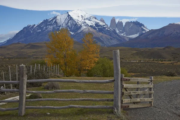 Automne à Torres del Paine — Photo
