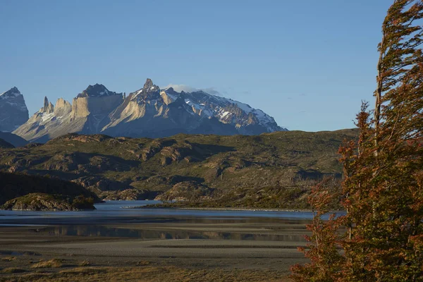 Automne à Torres del Paine — Photo