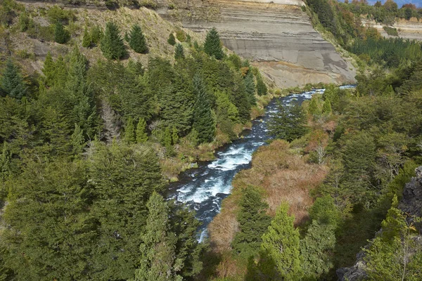 Parque Nacional de los Ríos del Conguillio, Chile — Foto de Stock