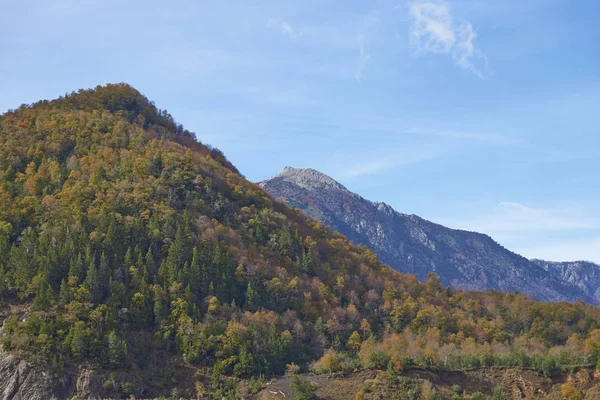 Autunno nel Parco Nazionale del Conguillio, Cile — Foto Stock