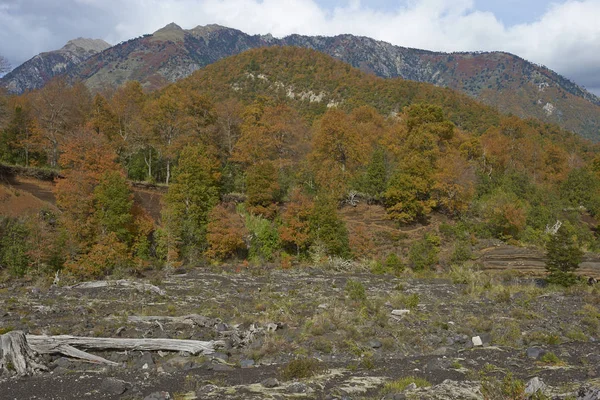 Autumn in Conguillio National Park — Stock Photo, Image