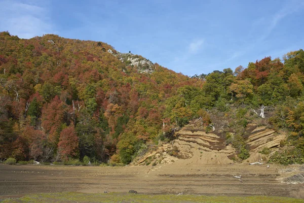 Autumn in Conguillio National Park — Stock Photo, Image