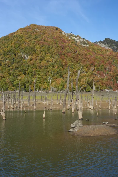 Autumn in Conguillio National Park — Stock Photo, Image