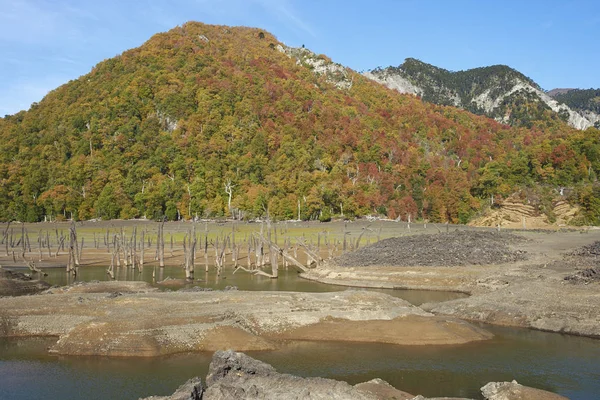 Autunno nel Parco Nazionale del Conguillio — Foto Stock