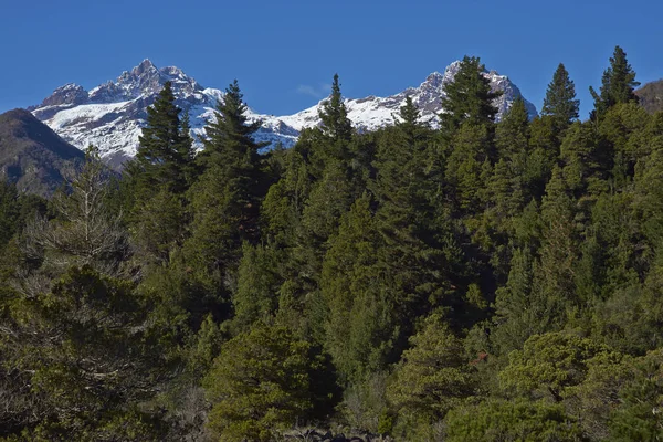 Mountain Sierra Velluda 585 Rising Forested Hillsides Laguna Laja National — Stock Photo, Image