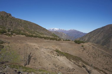 Condor iz içinde Yerba Loca