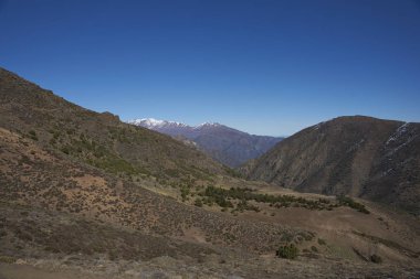 Condor iz içinde Yerba Loca