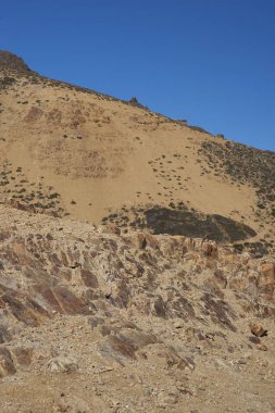 Condor iz içinde Yerba Loca