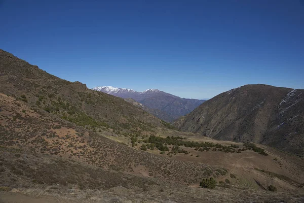 Condor iz içinde Yerba Loca
