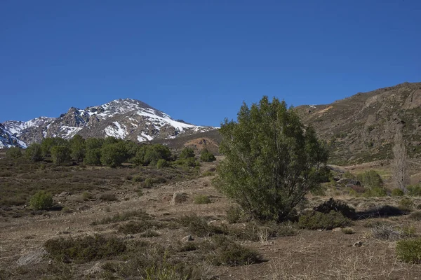 Πεζοπορία στο Yerba Loca — Φωτογραφία Αρχείου