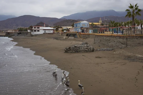 Taltal Région Antofagasta Chili Août 2017 Bord Eau Taltal Sur — Photo