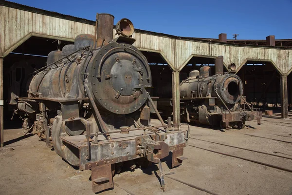 历史的引擎棚子在巴克达诺公园火车站 — 图库照片